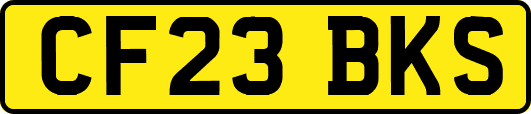 CF23BKS