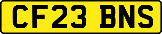 CF23BNS