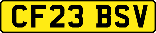CF23BSV