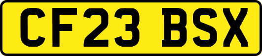 CF23BSX