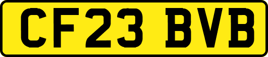 CF23BVB