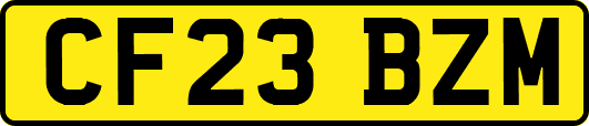 CF23BZM