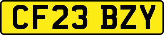 CF23BZY