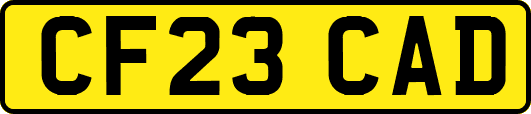 CF23CAD
