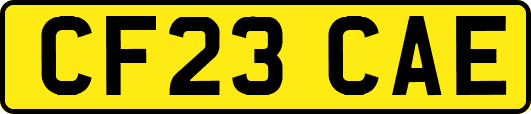 CF23CAE