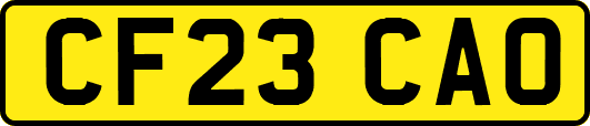 CF23CAO