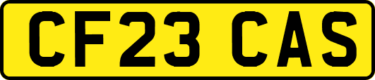 CF23CAS