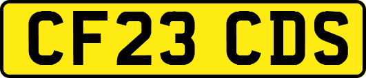 CF23CDS