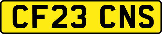 CF23CNS