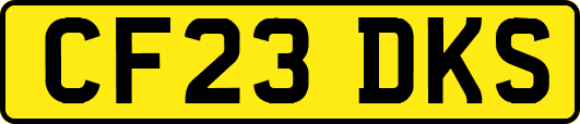 CF23DKS