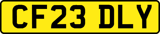 CF23DLY