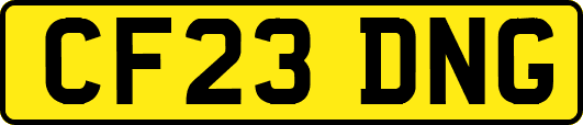 CF23DNG