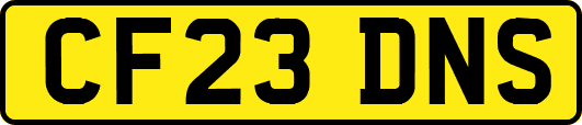 CF23DNS