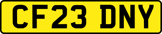 CF23DNY