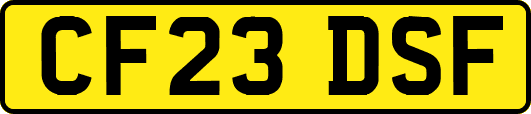 CF23DSF