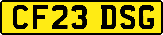 CF23DSG