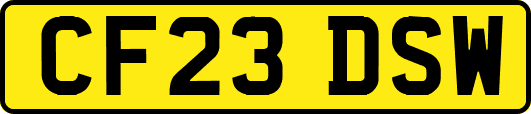 CF23DSW