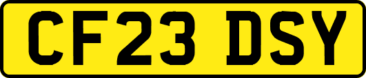 CF23DSY