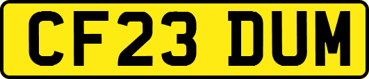 CF23DUM