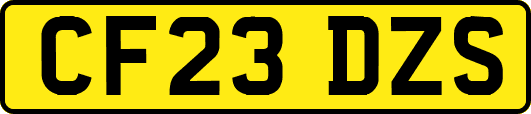 CF23DZS