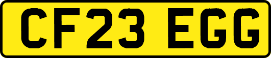 CF23EGG