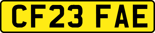 CF23FAE