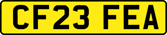 CF23FEA