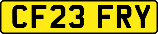 CF23FRY