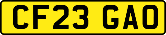 CF23GAO