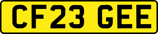 CF23GEE