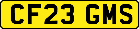 CF23GMS