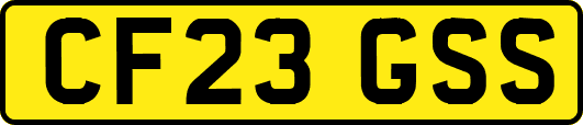 CF23GSS