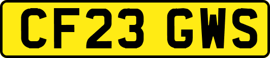 CF23GWS