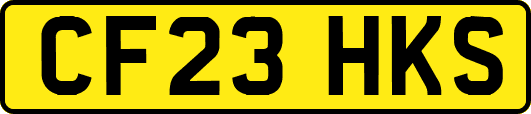 CF23HKS