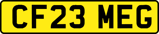 CF23MEG