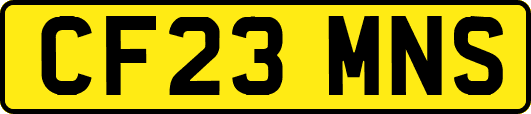 CF23MNS