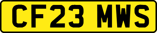 CF23MWS
