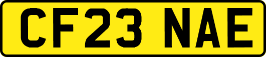 CF23NAE