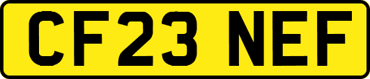 CF23NEF
