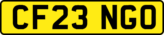 CF23NGO