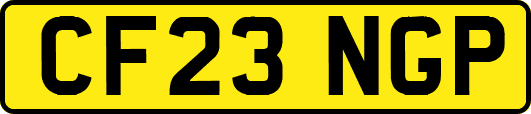 CF23NGP