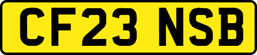 CF23NSB