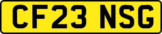 CF23NSG