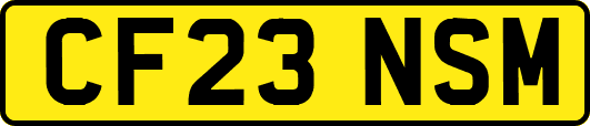 CF23NSM
