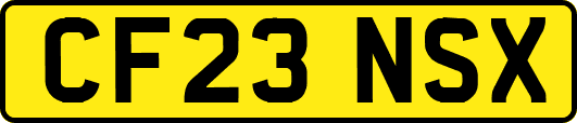 CF23NSX