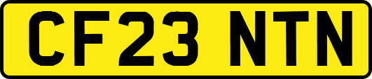 CF23NTN