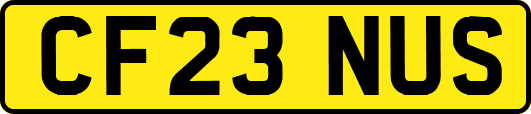 CF23NUS