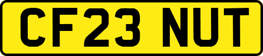 CF23NUT