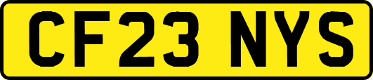 CF23NYS