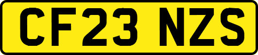 CF23NZS